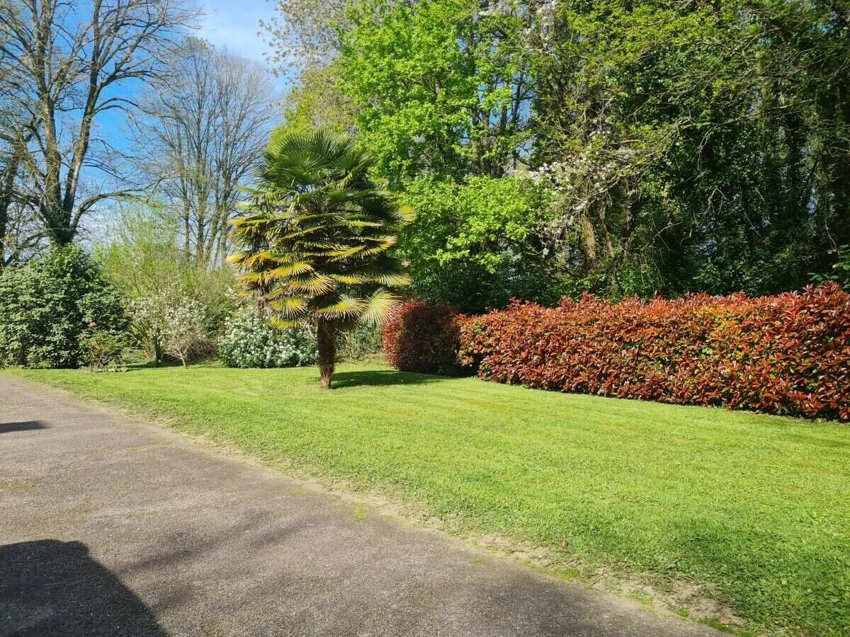 Image de la galerie