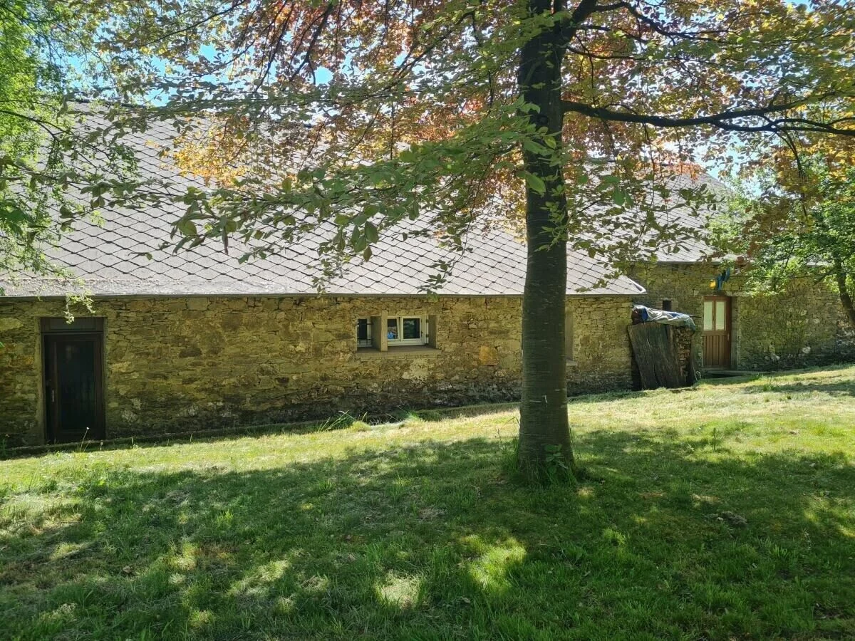Image de la galerie