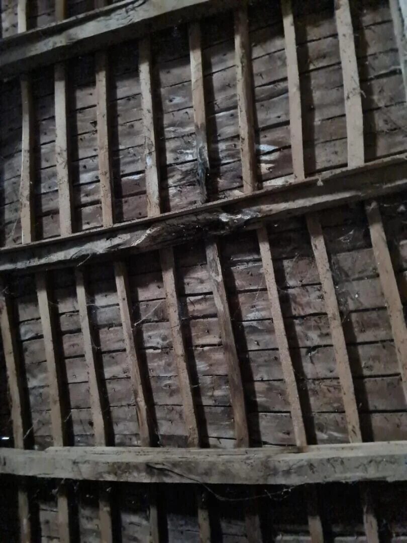 Image de la galerie